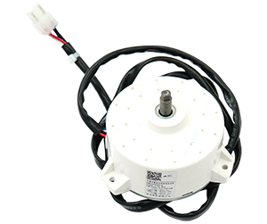 Brushless Motor